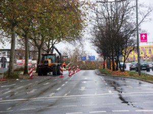 Baumfällungen unter Polizeischutz für A100 in Berlin-Neukölln, Kletterer retten Bäume