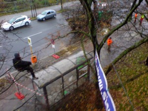 Baumfällungen unter Polizeischutz für A100 in Berlin-Neukölln, Kletterer retten Bäume
