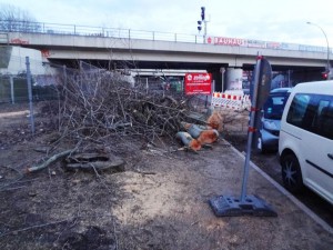 Baumfällungen am Trepower Park wegen Stadtautobahn A100?