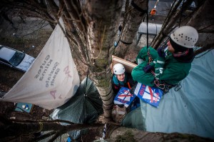 Protest im Baumwipfel gegen die A100 (Foto: Ruben Neugebauer)