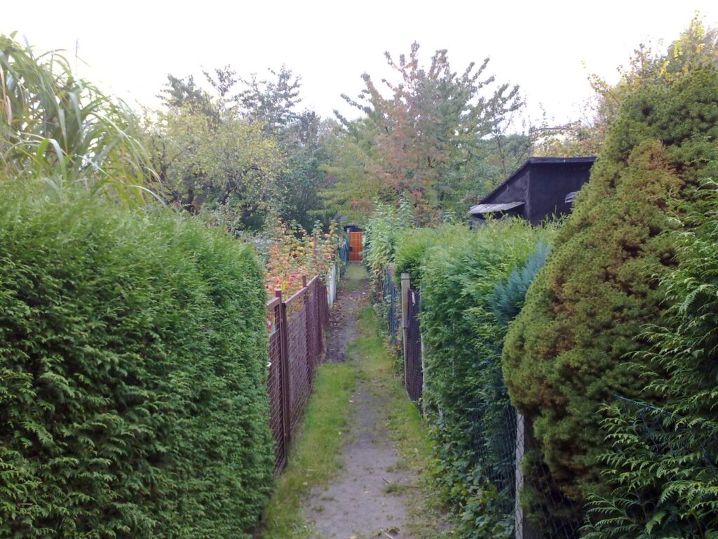 Diese Kleingärten in Alt-Treptow an der Beermannstraße wurden durch den Bau der A100 zerstört.