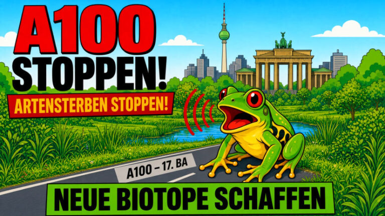 Neuer Amphibienbericht schlägt Alarm: Artensterben durch A100 stoppen, neue Biotope schaffen
