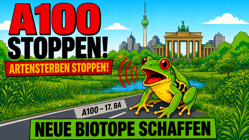 Neuer Amphibienbericht schlägt Alarm: Artensterben durch A100 stoppen, neue Biotope schaffen!